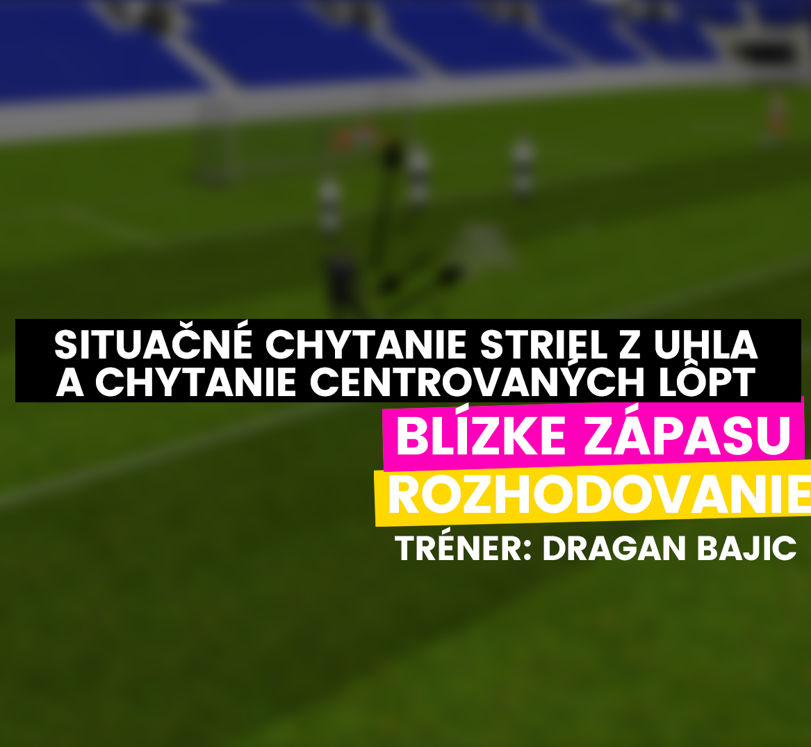 DRAGAN BAJIC: VIDEO - Situačné chytanie striel z uhla a chytanie centrovaných lôpt