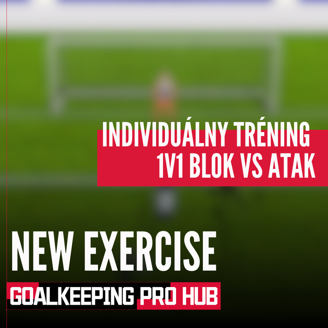 INDIVIDUÁLNY TRÉNING: 1V1 - Blok vs Atak