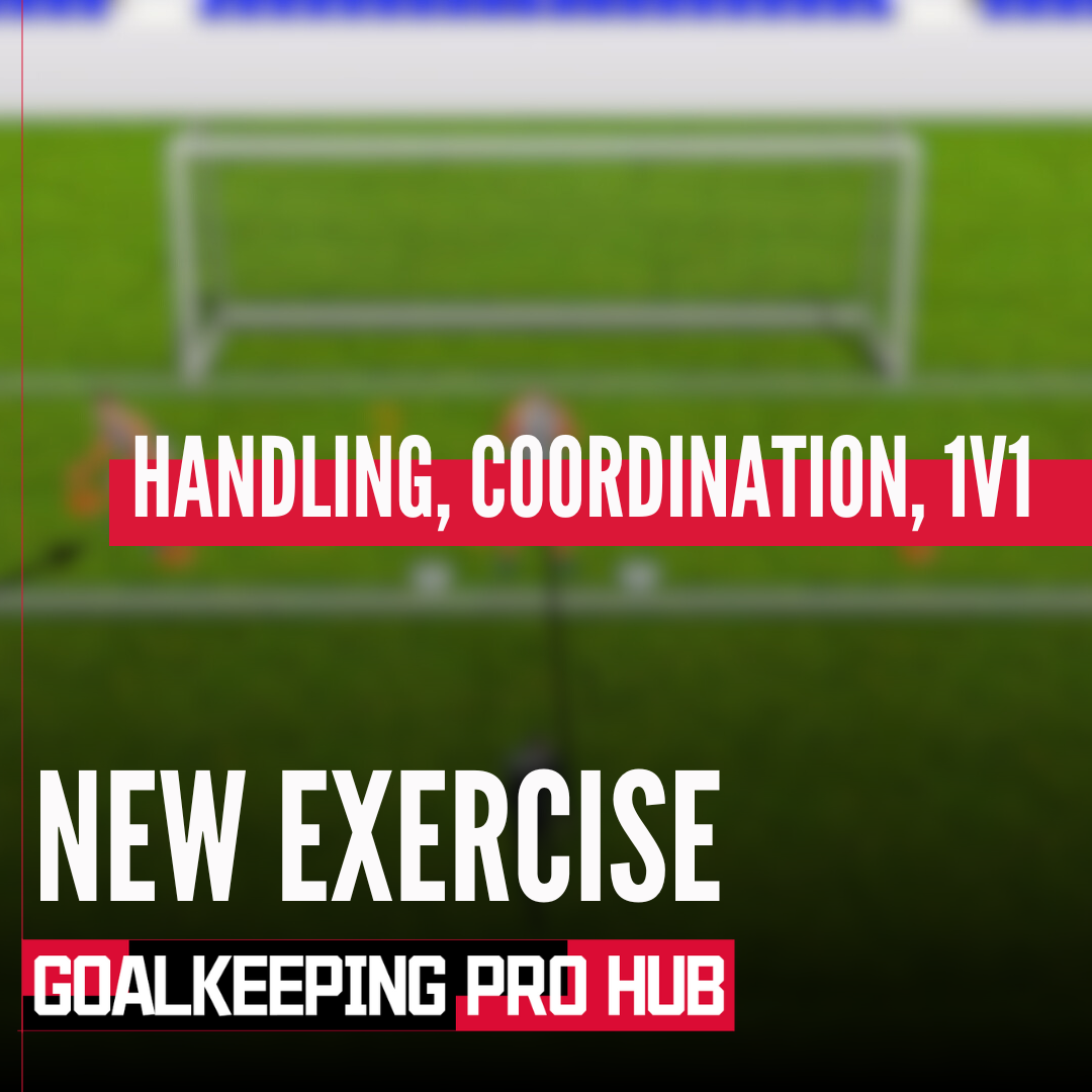 Handling, coordination, 1v1/reaction