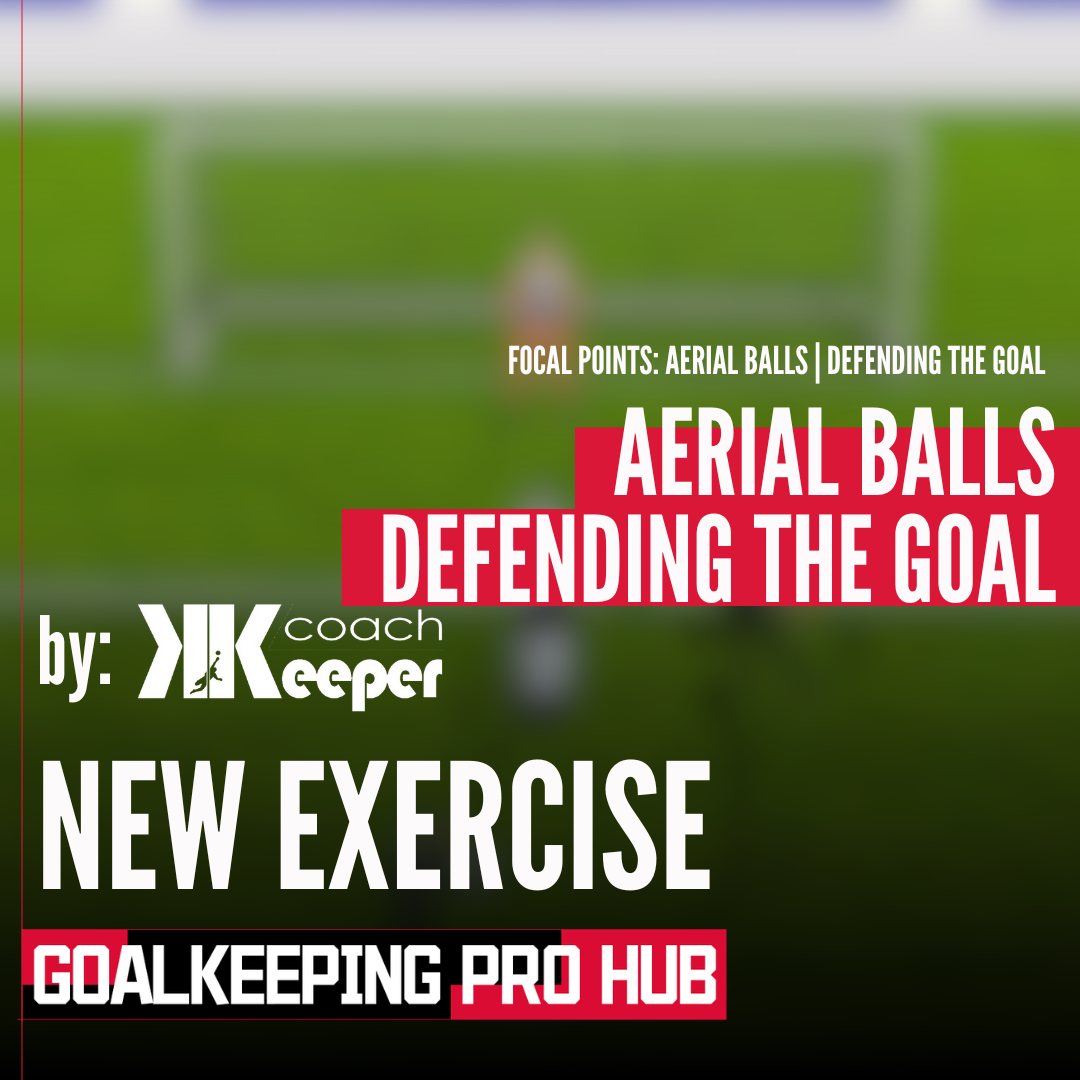 Aerial Balls - Defending the goal