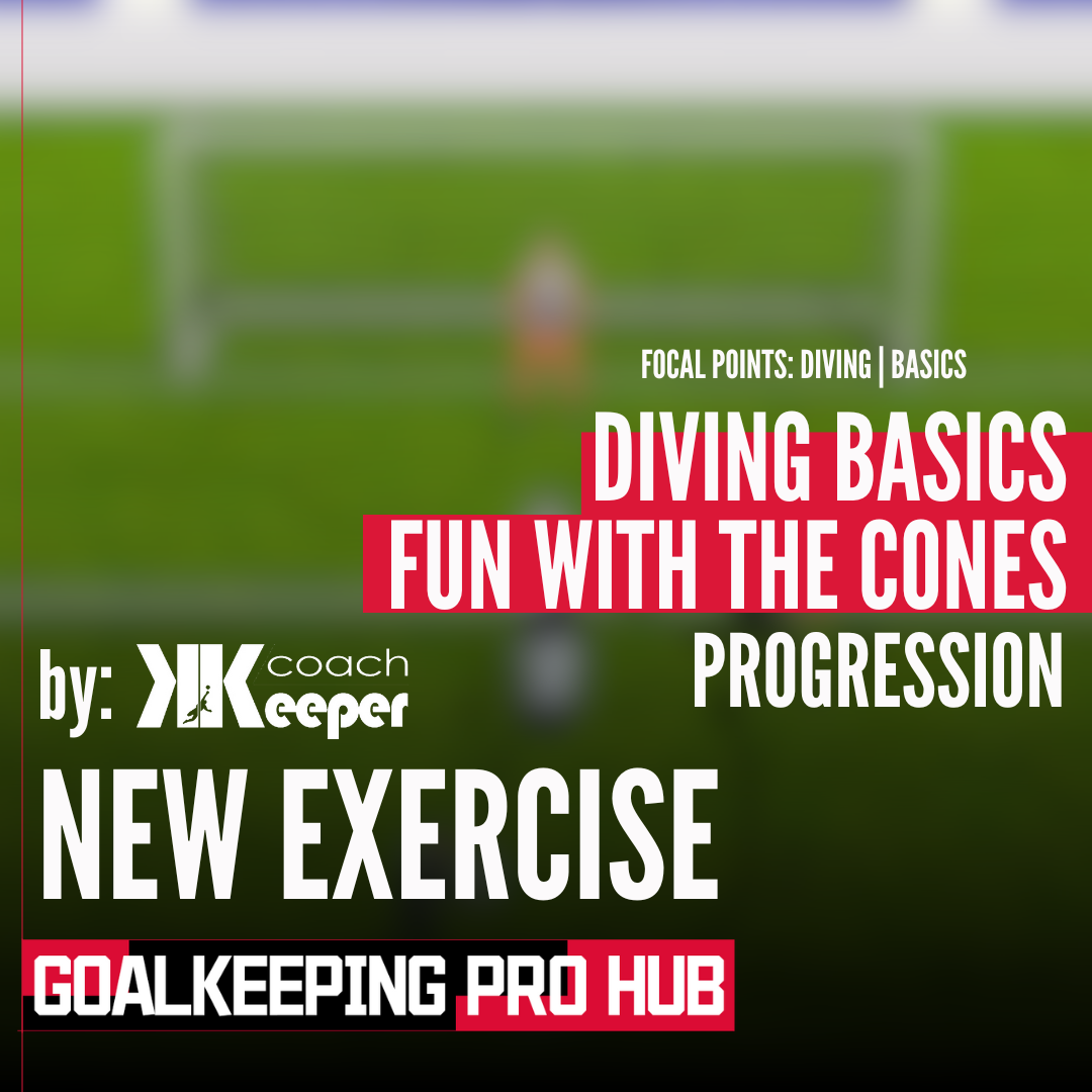 DIVING BASICS: Fun with the cones with the ball!