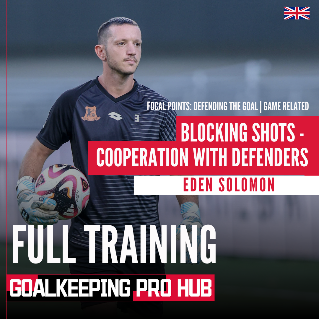 Blocking shots - Cooperation with defenders